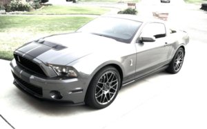 my Shelby.JPG my Shelby.JPG