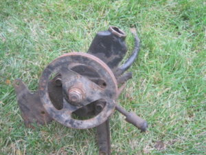 Picture 4772.jpg