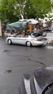 20160429_105622 (Large).jpg