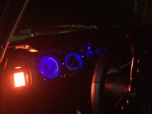 IMG_8681.jpg