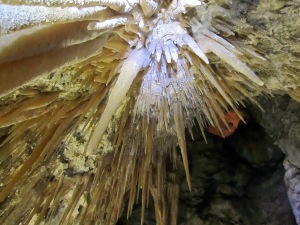 Carlsbad,+cave+detail+18.jpg