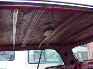 polara interior pic roof.JPG