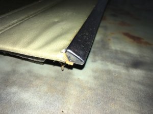 532FE092-DE67-495A-9428-ADD72A327635.jpeg 532FE092-DE67-495A-9428-ADD72A327635.jpeg