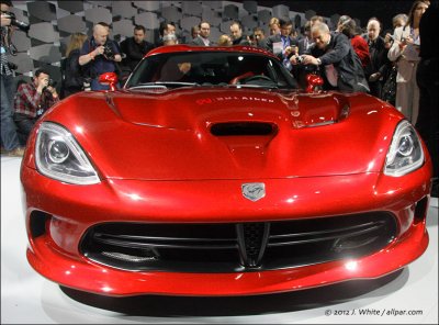 viper-hood.jpg
