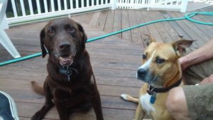 0815171959a.jpg 0815171959a.jpg