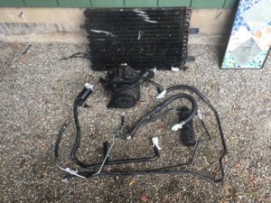 IMG_1288.JPG IMG_1288.JPG