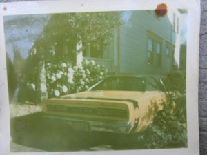 IMG_0225 (Large).JPG IMG_0225 (Large).JPG