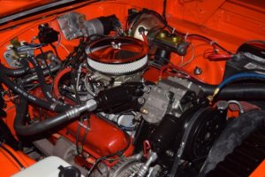 DSC_0428.jpg DSC_0428.jpg