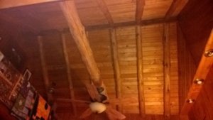 WP_20171201_08_04_11_Pro.jpg