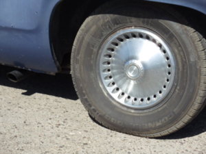 DSC00029.JPG DSC00029.JPG