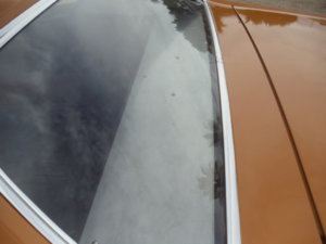 DSC00599.JPG DSC00599.JPG