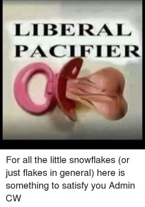 liberal-pacifier-for-all-the-little-snowflakes-or-just-flakes-7103289.png