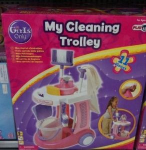MyCleaningTrolley.jpg