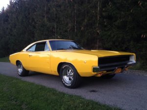 yellow68.jpg yellow68.jpg