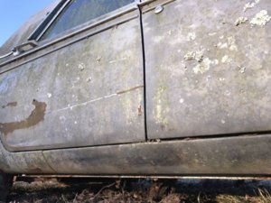 IMG_3430.JPG IMG_3430.JPG