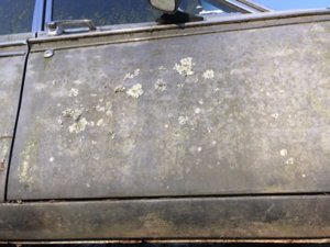 IMG_3431.JPG IMG_3431.JPG