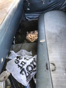 IMG_3439.JPG IMG_3439.JPG