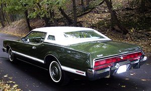 73 T-bird.jpg 73 T-bird.jpg