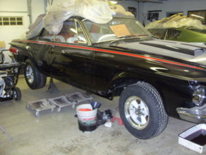 NEW 62 POLARA PICS 001.JPG