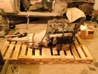 392713_233361780060564_100001602323784_645233_1548214463_n (1).jpg