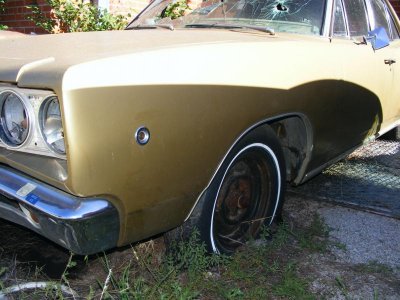 DSCF8964.jpg