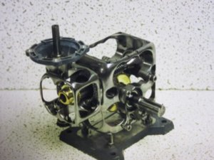 IMG_0428 (Large).JPG