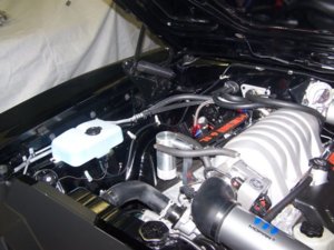 100_8383.JPG 100_8383.JPG