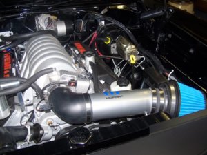 100_8384.JPG 100_8384.JPG