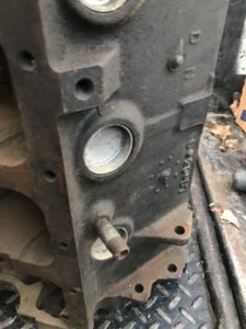 E654B550-480E-4B77-8458-261221919C80.jpeg E654B550-480E-4B77-8458-261221919C80.jpeg