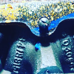 B6938CDD-5743-4F07-AF7C-40A7279143D2.jpeg B6938CDD-5743-4F07-AF7C-40A7279143D2.jpeg