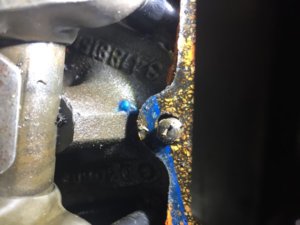 CA256618-0610-4701-8F52-71F698D818B5.jpeg CA256618-0610-4701-8F52-71F698D818B5.jpeg