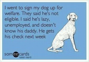 dog on welfare.jpg