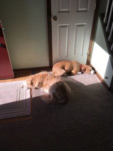 CC431636-63AF-468E-AF1B-6DD1F2120A37.jpeg CC431636-63AF-468E-AF1B-6DD1F2120A37.jpeg