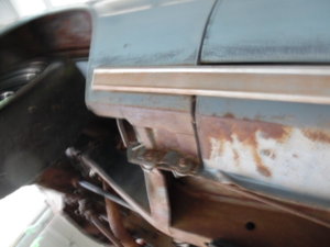 SAM_1546.JPG SAM_1546.JPG