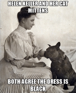 helen-keller-and-her-cat-mittens-both-agree-the-dress-is-black.jpg