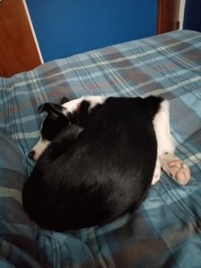 2018-01-03_08-53-25.jpg 2018-01-03_08-53-25.jpg