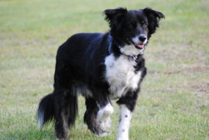 week of 5-10-12 152.jpg week of 5-10-12 152.jpg