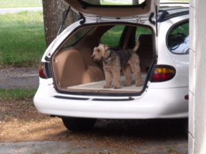 DSCF0088.JPG DSCF0088.JPG