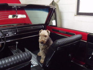 DSCF0107 (1).JPG DSCF0107 (1).JPG