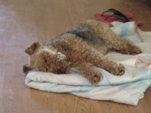 DSCF0299.JPG DSCF0299.JPG