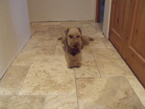 DSCF0392.JPG DSCF0392.JPG