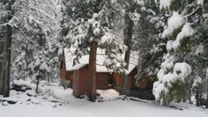 Snow Cabin.jpg