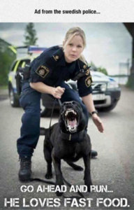 t1-568150-edish_police_dog_fast_food.jpg