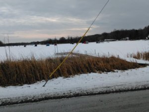 IMG_20180107_092823[1].jpg
