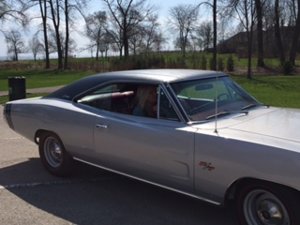 IMG_0368.JPG IMG_0368.JPG