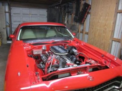 Copy of IMG_1072.JPG