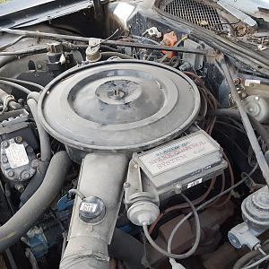 One owner 1979 Dodge Magnum