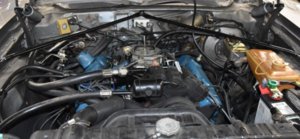 IMG_1392.JPG IMG_1392.JPG