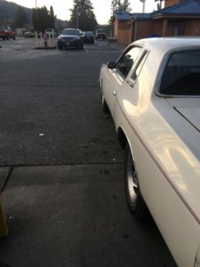 IMG_1984.JPG IMG_1984.JPG