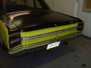 YELLOW DART 013.JPG YELLOW DART 013.JPG